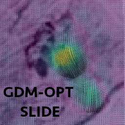 ../_images/GDM-OPT-SLIDE.png